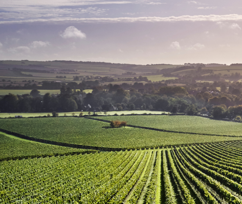 Cold Smoked Side & Bottle of Exton Park Brut